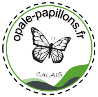 Opale Papillons